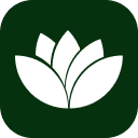 Ícone do website de Auto Lotus