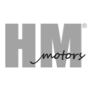 Ícone do website de HM MOTORS