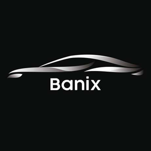 Logo de Banix