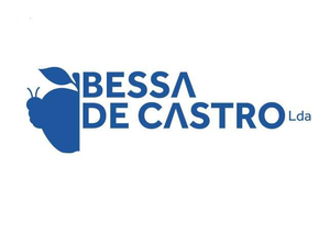 Logo de Bessa de Castro Lda