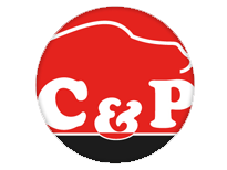 Logo de Carlos & Páscoa Lda