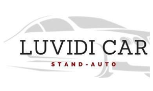 Logo de LUVIDICAR