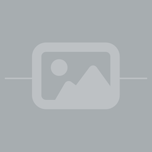 Logo de Manuel Nunes