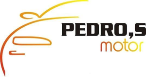 Logo de PEDROS MOTOR